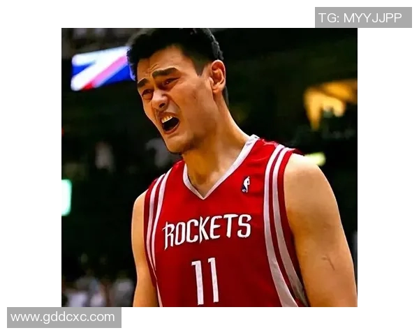 你让姚明在篮球场上展现中国力量与梦想的辉煌时刻