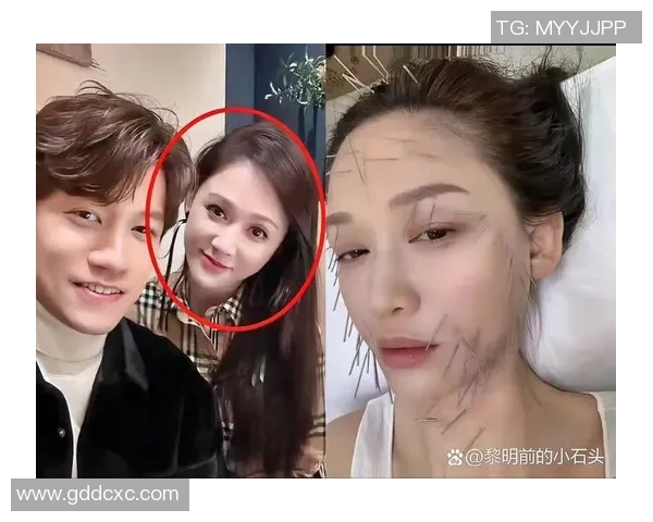 陈乔恩和姚明的年龄对比揭秘两位明星的成长轨迹与人生经历