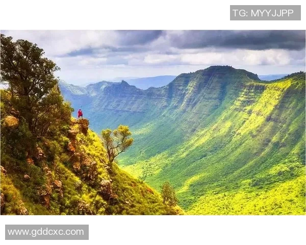 姚明郎读者：探索篮球与文学交汇的奇妙旅程与深刻思考