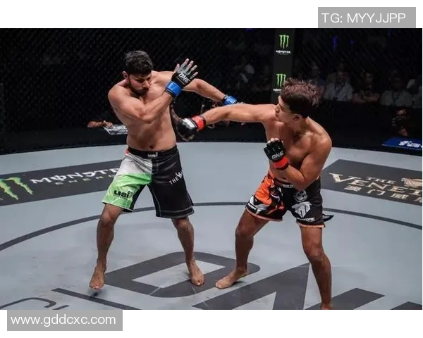 篮球明星Baron的传奇之路与他对篮球运动的深远影响