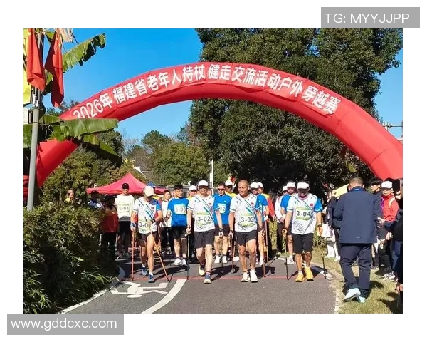 上杭篮球明星的成长之路与荣耀时刻探秘